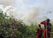 Menhut Raja Juli Antoni Tinjau Karhutla SM Padang Sugihan, Kolaborasi Multipihak Perkuat Pemadaman
