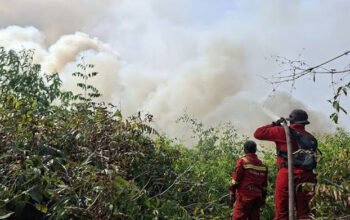 Menhut Raja Juli Antoni Tinjau Karhutla SM Padang Sugihan, Kolaborasi Multipihak Perkuat Pemadaman