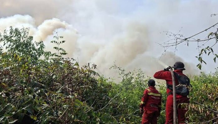 Menhut Raja Juli Antoni Tinjau Karhutla SM Padang Sugihan, Kolaborasi Multipihak Perkuat Pemadaman