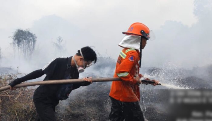 Enam Perusahaan Diawasi, Pemkab OKI Verifikasi Area Terbakar