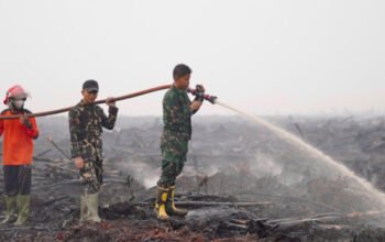 Hujan Bantu Pemadaman Karhutla di OKI, Satgas Lanjutkan Pendinginan