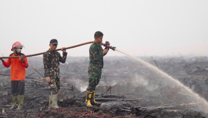 Hujan Bantu Pemadaman Karhutla di OKI, Satgas Lanjutkan Pendinginan