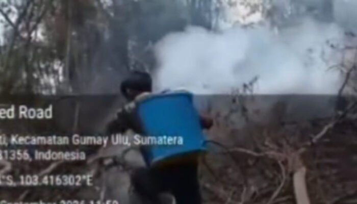 Kasus Karhutla Desa Rindu Hati, Terlapor Mangkir, Polisi Bakal Layangkan Undangan Klarifikasi Kedua