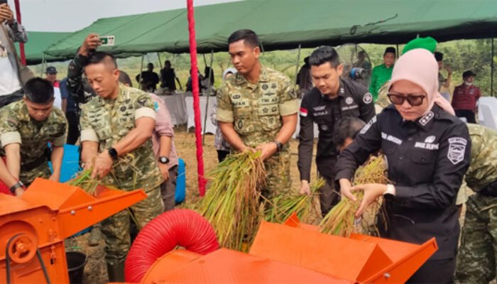 Panen Padi Perdana, Wabup Lahat Apresiasi Batalion TP 894 Perkuat Ketahanan Pangan