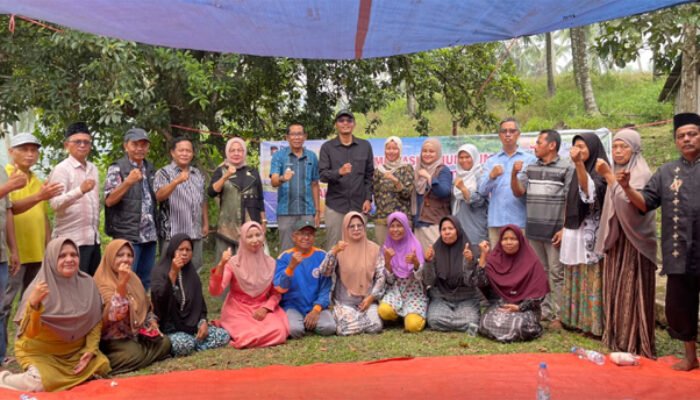 Wujud Hilirisasi Batu Bara untuk Pertanian, PTBA Bersama UGM Uji Coba Pupuk Kalium Humat di Sawahlunto