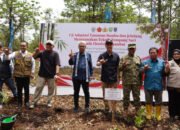 Dua Dekade Bebas Karhutla, Restorasi Lahan Gambut di Sepucuk OKI Jadi Rujukan Nasional