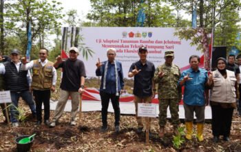 Dua Dekade Bebas Karhutla, Restorasi Lahan Gambut di Sepucuk OKI Jadi Rujukan Nasional