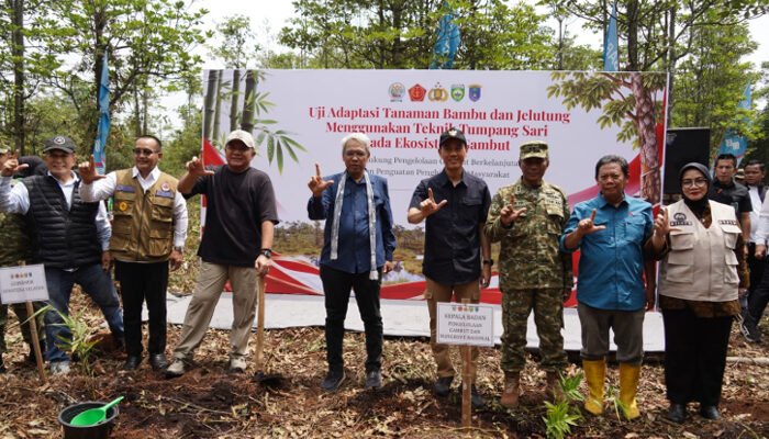 Dua Dekade Bebas Karhutla, Restorasi Lahan Gambut di Sepucuk OKI Jadi Rujukan Nasional