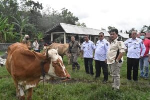 Jelang Idul Adha Satgas OKI Siap Siaga PMK