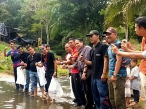 Karang Taruna Linggau Tebar 3.000 Bibit Ikan