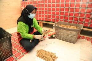 Klaster Usaha Binaan BRI Purun Eco-Straw Mendapat Apresiasi di Sidang Umum PBB