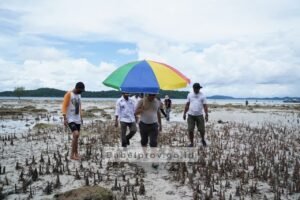 Pulau Bakau Tertua di Dunia Akan Dikenalkan kepada Delegasi G20 Belitong