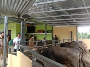 Ratusan Hewan Ternak Disiapkan untuk Penuhi Kebutuhan Idul Fitri