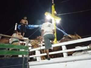 Stok Daging Dipastikan Cukup untuk Idul Fitri 1443 Hijriah