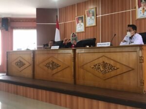 Lindungi 1,03 Juta Hektar Lahan Gambut, OKI Susun Dokumen RPPEG