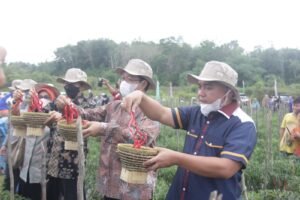 Panen Cabai Bersama Petani, Molen Ingin Jadikan PGK Tonggak Agro-Swasembada