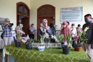 Kagumi Perhimpunan Anggrek Indonesia Babel, Sambutan Ketua Melati Penuh Haru