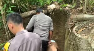 Aparat Gabungan Temukan Puluhan Lubang Galian Tambang di Hutan Menumbing