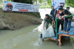 PTBA Tebar 16 Ribu Benih Ikan di Bantaran Sungai Enim