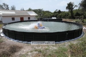 Datangkan Indukan dari Hawaii, Babel Siap Produksi Benur Vaname