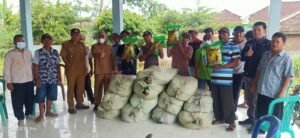 Pemkab OKI Bantu Benih Padi Lahan Terdampak Banjir di Lempuing Jaya