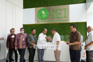 Listrik Tenaga Surya Bakal Aliri Pulau Terpencil di Babel