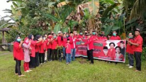 Rayakan Ultah Megawati, PDIP OKI Lakukan Penanaman Pohon