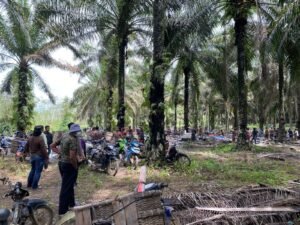 Polisi Hentikan Penambangan Ilegal di Laha Sawit PT GSBL
