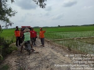 Pemkab OKI Upayakan Bantuan Benih untuk Lahan yang Kena Banjir