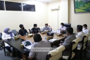 Belitong Siap Penuhi Standar Kebutuhan Listrik dan Internet Forum G20