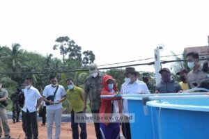 Tebar Perdana Benur Udang Vaname Produksi UPT Balai Pemuliaan Ikan Babel