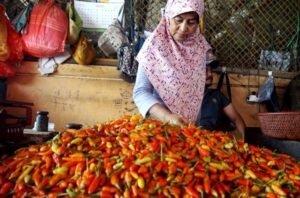 Harga Cabai Makin ‘Pedas’ Jelang Akhir Bulan