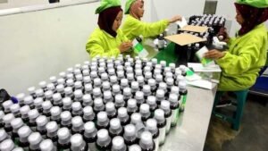 Melesat 90 Persen, Indofarma Raup Angka Penjualan Bersih Rp849, 32 Miliar
