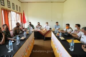 Daerah Perlu Obat-obatan untuk Warga Sedang Jalani Isolasi Mandiri
