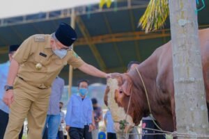 Prioritaskan Daging Kurban untuk Warga Isoman dan Warga Kurang Mampu
