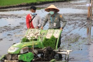 Wakil Bupati Bangka Selatan Hadiri Tanam Padi Jarwo Super Bersama BPTP Babel