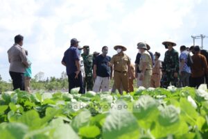 Sambut Budi Daya Kacang-kacangan, Para Petani Ikut Bimtek