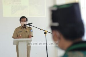 Kolaborasi Pemprov-HMI Babel Raya Peduli Lingkungan