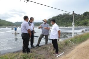 Kunjungi Lampung, Gubernur Erzaldi Persiapkan Industri Pengolahan Udang Vaname