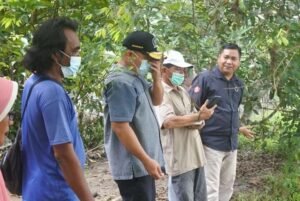 Pastikan Tidak Ada Penerima Fiktif, Komisi II DPRD Babel Tinjau Kelompok Tani di Belinyu