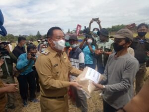 Habis Masa Tanam Padi, Terbitlah Kedelai