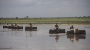Program Food Estate Gantikan Ketergantungan Pada Sektor Pertambangan