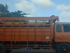 Kebutuhan Daging Sapi Kabupaten Bangka Capai 13 Ribu Kilogram