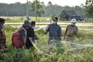 Babel Raih Penghargaan Provinsi dengan Penurunan Kerawanan Pangan Terbaik 2018-2020