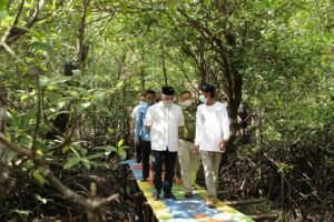 Taman Bakau Dalam Kota, Salah Satu Kesiapan Wisata Alternatif Belitung