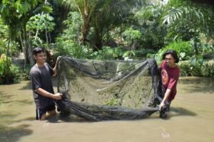 Puluhan Mantan Penambang Tanpa Izin Dapat Pelatihan Budidaya Ikan Air Tawar