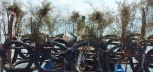 Nelayan Tradisional Bangka Tebar Rumpon Terbuat Dari Ban Bekas dan Dedaunan