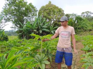 Pemkab Lahat Bersiap Bina Petani Porang di Desa Sukananti