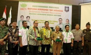 Impor Beras, HKTI Babel Sebut Petani Merugi