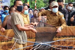 Warga Lahat Budidaya Lele dengan Metode Baru, Hasilkan Ratusan Kilogram